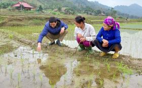 Chấn chỉnh, khắc phục tình trạng né tránh, sợ trách nhiệm tr&#111;ng cán bộ, đảng viên, công chức  第3张