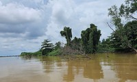  Công an tuần tra đêm, bắt quả tang &apos;cát tặc&apos; trên sông Tiền 第2张