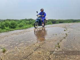 Phó Chủ tịch UBND tỉnh Thanh Hóa Lê Đức Giang chỉ đạo kiểm tra mặt đê biển nứt vỡ ở Hậu Lộc  第7张