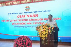 Đà Nẵng: Giải ngân 1 tỷ đồng Quỹ Hỗ trợ nông dân thực hiện dự án “Trồng hoa, cây cảnh”  第2张