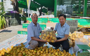 Đà Nẵng: Giải ngân 1 tỷ đồng Quỹ Hỗ trợ nông dân thực hiện dự án “Trồng hoa, cây cảnh”  第11张