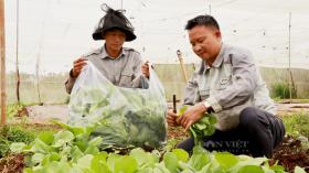 Ba khó khăn của một Nông dân Việt Nam xuất sắc đến từ Lâm Đồng khi làm nông nghiệp tuần hoàn