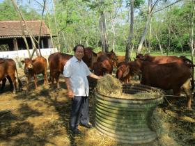 Nông dân Việt Nam xuất sắc đến từ Quảng Nam: Tạo điều kiện để nông làm giàu nghề  第2张