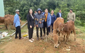 Nông dân Việt Nam xuất sắc đến từ Quảng Nam: Tạo điều kiện để nông làm giàu nghề  第10张