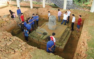 Vườn trồng ớt chuông baby công nghệ cao, một nông dân Lâm Đồng hưởng lương cao, vài chục triệu/tháng