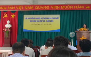 Quảng Ngãi: Hội Nông dân Bình Sơn sơ kết công tác Hội, phong trào nông 9 tháng đầu năm 2024  第10张