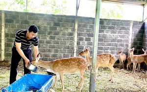 Quảng Ngãi: Hội Nông dân Bình Sơn sơ kết công tác Hội, phong trào nông 9 tháng đầu năm 2024  第13张