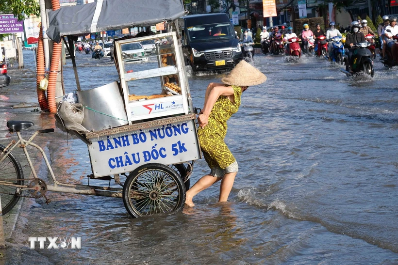  Triều cường ở thành phố Cần Thơ dâng cao vượt báo động III 