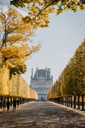 Hội chứng Paris - cú sốc tâm lý vì thực tế không như tưởng tượng 