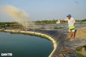 Lão nông thành triệu phú nhờ bí quyết bán 1 tỷ con cá mỗi năm