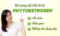  Nội tiết tố nữ strogen có thể làm chậm sự phát triển của khối u 