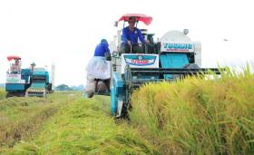  Việt Nam chi gần 1 tỷ USD nhập khẩu gạo: &apos;Không có gì to tát, lo ngại&apos; 