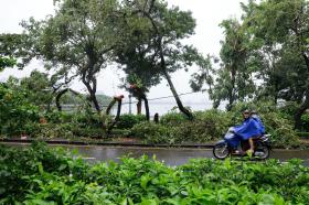 Hai con đường lãng mạn nhất Hà Nội tan hoang sau bão Yagi