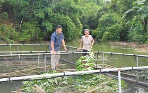 Công nhân mướt mồ hôi hoàn thành đại lộ nghìn tỷ kết nối TP.Vinh với biển Cửa Lò  第11张