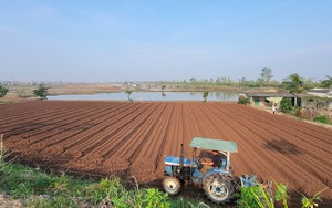 Bão giật tung nóc nhà, một gia đình nông dân 7 người ở Hải Dương vẫn phải đang ở nhờ