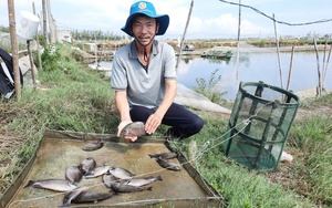 Nuôi con đặc sản bình dân thu tiền tỷ, một tỷ phú Bạc Liêu là Nông dân Việt Nam xuất sắc 2024