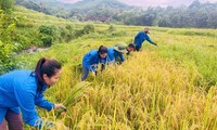  Thanh niên Công an Thủ đô ra quân &apos;phủ sóng&apos; tuyên truyền phòng cháy chữa cháy 